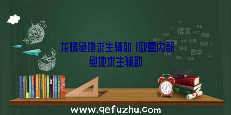 「龙啸绝地求生辅助」|欧皇内部绝地求生辅助